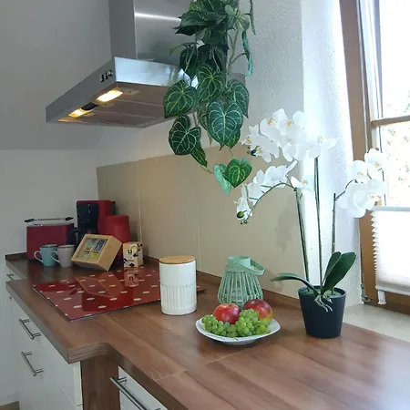 Savor Bergblick Fuer 6 Personen 4 Raum Garten Balkon Netflix * Sohland an der Spree