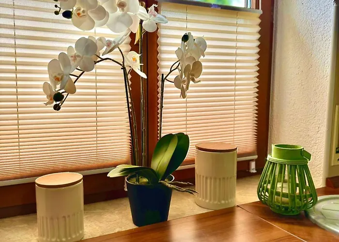 Savor Bergblick Fuer 6 Personen Apartment Sohland an der Spree